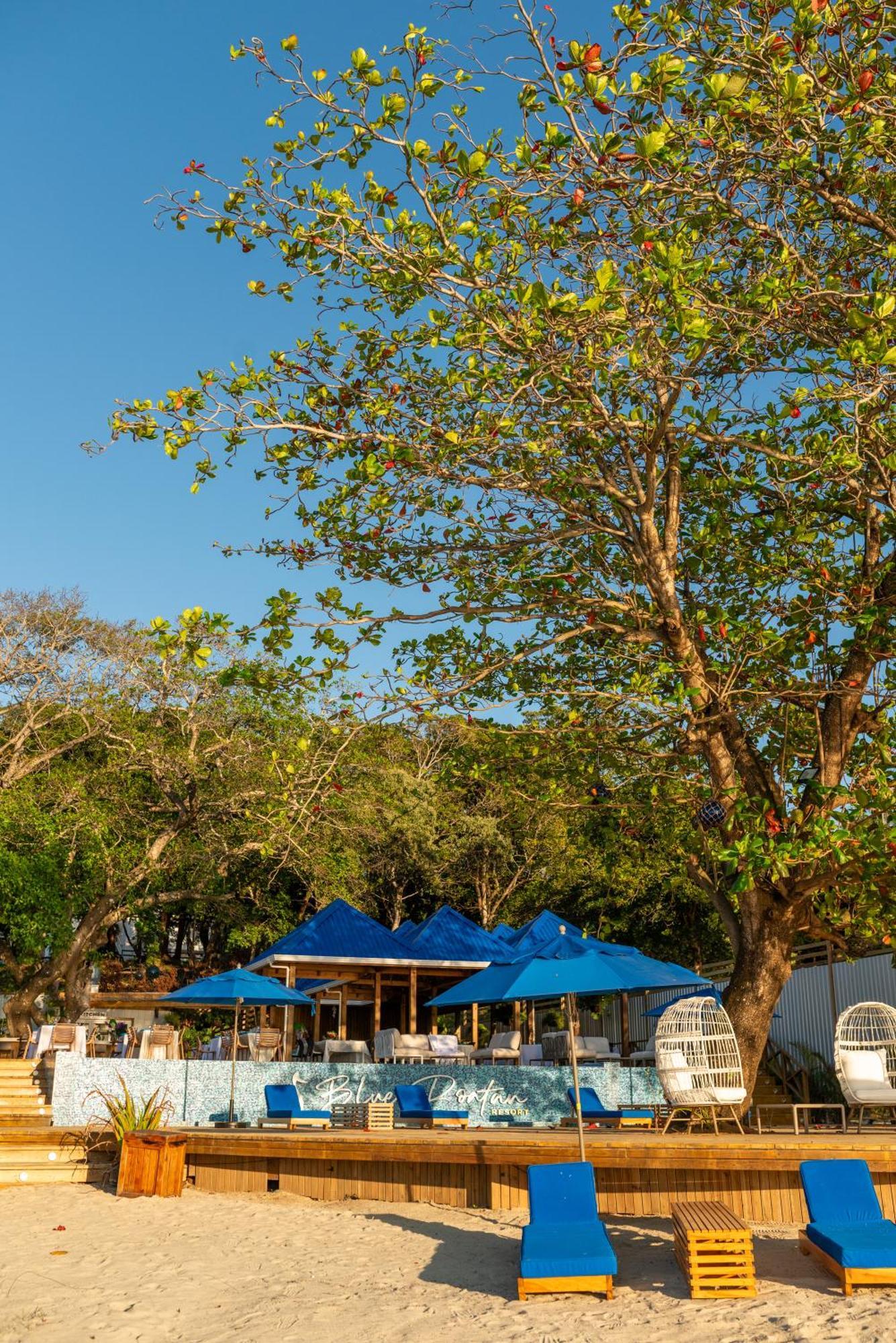 Blue Roatan Resort ويست باي المظهر الخارجي الصورة