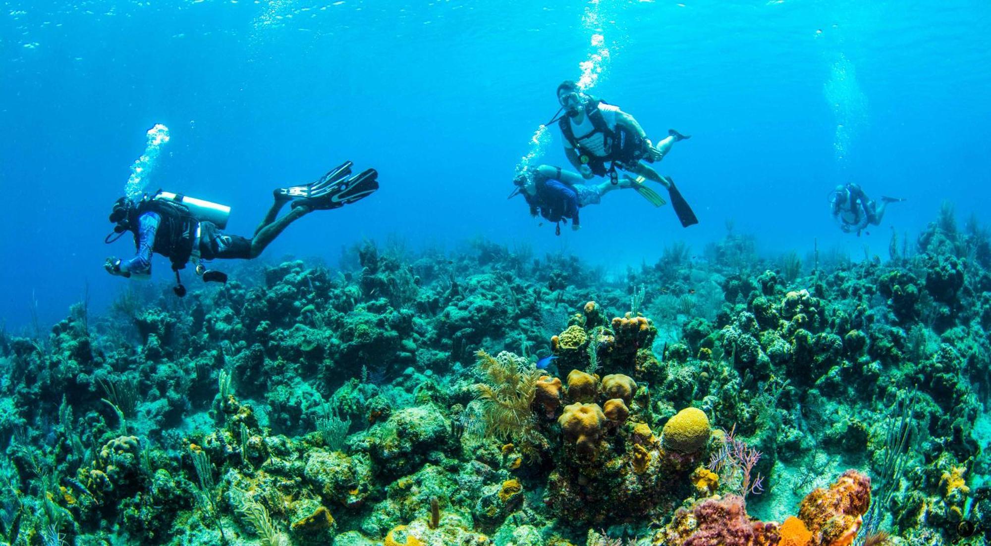 Blue Roatan Resort ويست باي المظهر الخارجي الصورة